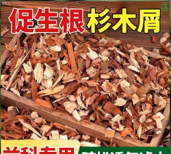 养花用杉树皮