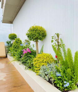 阳台养花植物槽 阳台养花植物槽