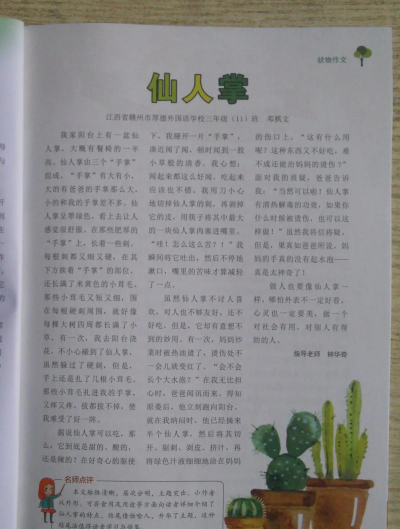 仙人掌空了怎么办