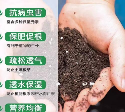 家庭养花用生根粉