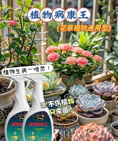 家庭养花用生根粉