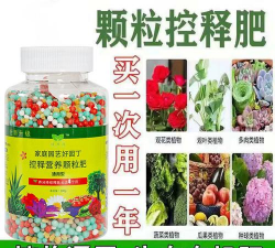 家庭养花用生根粉