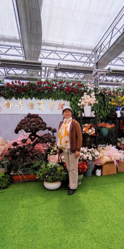 家庭养花用生根粉