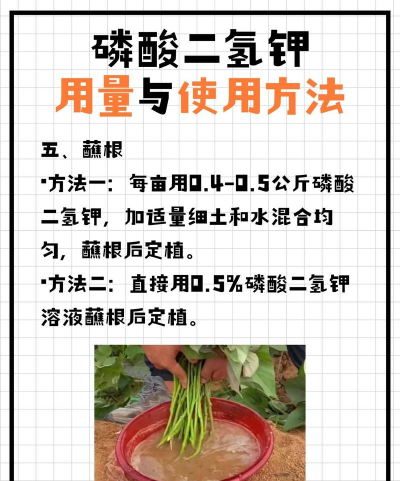 家庭养花用生根粉