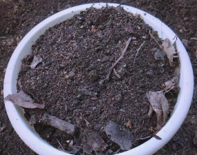 绿化景观设计，提升环境品质，创造宜人空间