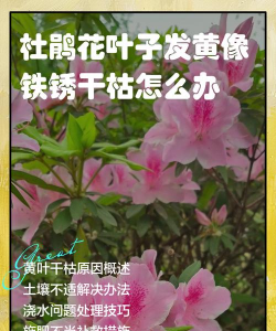 绿化景观设计，提升环境品质，创造宜人空间