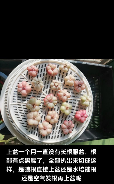 绿化景观设计，提升环境品质，创造宜人空间