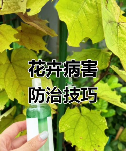 别墅园林绿化设计，打造私密空间，提升居住品质