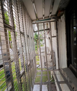 别墅园林绿化设计，打造私密空间，提升居住品质