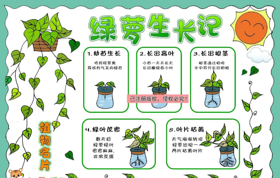 庭院景观绿化设计，打造舒适空间，提升生活品质