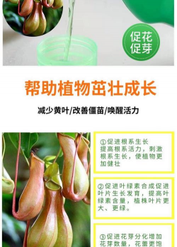 家庭养花用生根粉