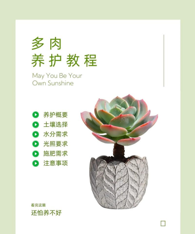 家庭养花用生根粉