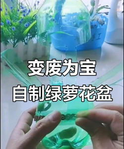 可乐瓶怎么做萝卜盆栽