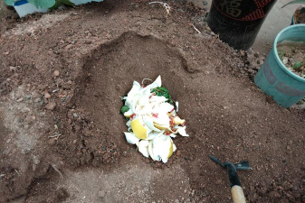 家庭养花用生根粉