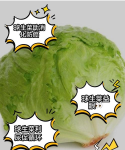 生菜球干边怎么回事