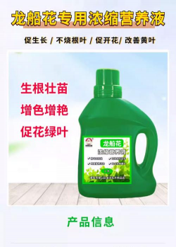 家庭养花用生根粉