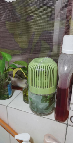 家里气味好用什么