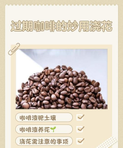 过期咖啡能养花