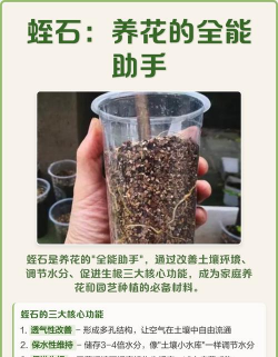 家庭养花用生根粉