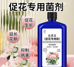 家庭养花用生根粉