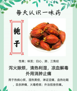 栀子是以什么入药