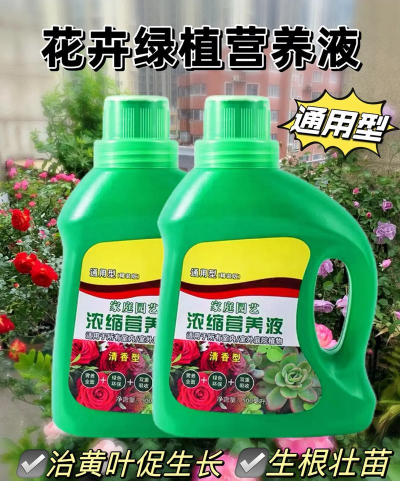 家庭养花用生根粉