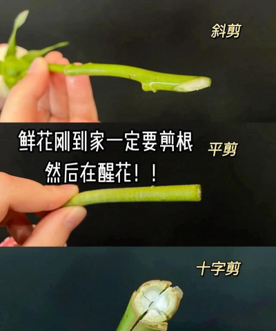 花根是怎么做的