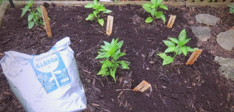 家庭养花用生根粉