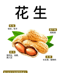 营养花生味