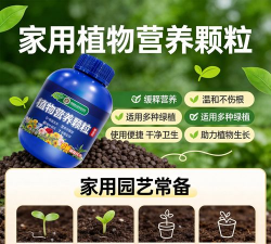 家庭养花用生根粉