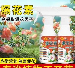 家庭养花用生根粉