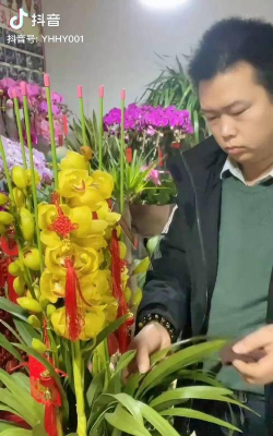 家庭养花用生根粉