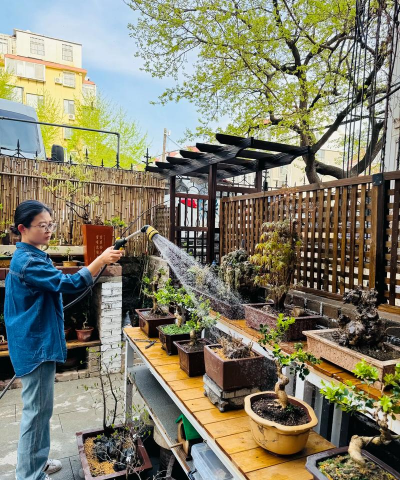 家庭养花用生根粉