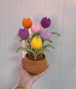 线编织花盆栽怎么栽