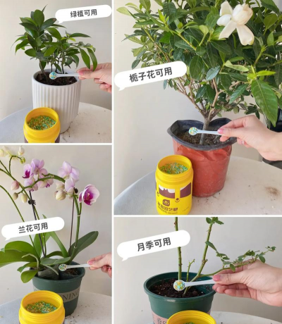 家庭养花用生根粉