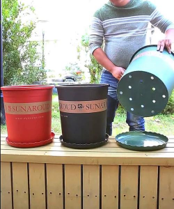 家庭养花用生根粉