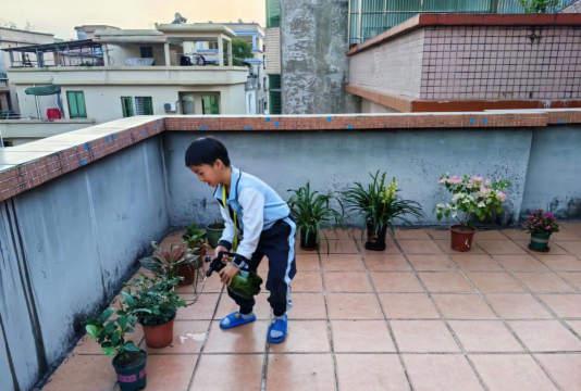 家庭养花用生根粉