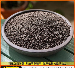 海藻肥颗粒养花