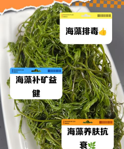 什么海藻可以养花