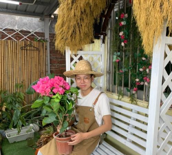 家庭养花用生根粉