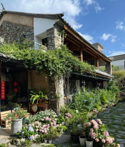 家庭养花用生根粉