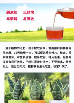 家庭养花用生根粉