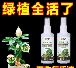 家庭养花用生根粉