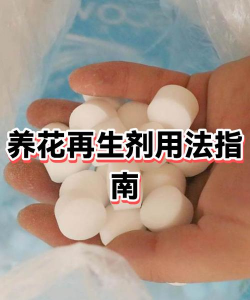 家庭养花用生根粉