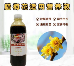 家庭养花用生根粉