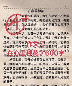 在自己心里养花