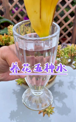 家庭养花用生根粉