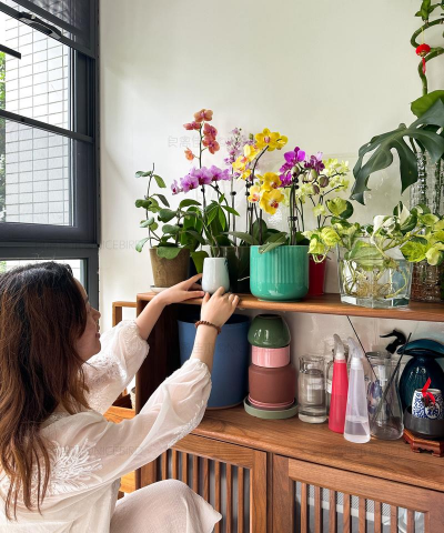 家庭养花用生根粉