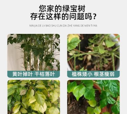 家庭养花用生根粉