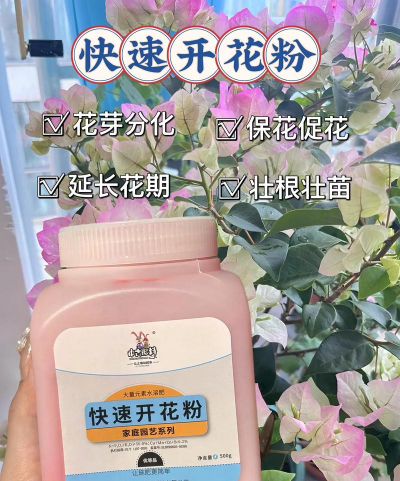 家庭养花用生根粉